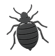 Bed Bug Solutions