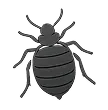 Bed Bug Solutions