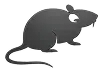 Rodent Control & Exclusion
