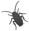 Cockroach Extermination