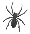 Spider & Web Prevention