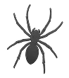 Spider & Web Prevention